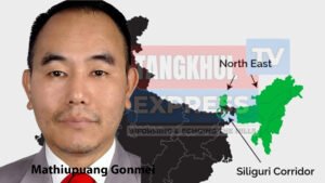 DELIMITATION AND ITS IMPLICATIONS ON THE POLITICAL FUTURE OF NORTHEAST INDIA: A CALL FOR URGENT COLLECTIVE ACTIONS BY ALL NORTH EASTERN STATES