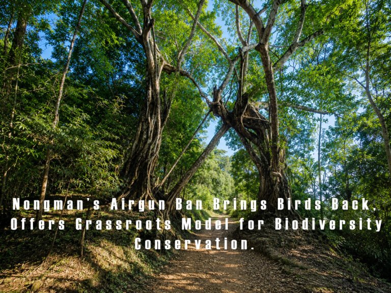 Nongman’s Airgun Ban Brings Birds Back, Offers Grassroots Model for Biodiversity Conservation