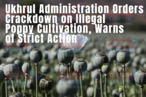 Ukhrul Administration Orders Crackdown on Illegal Poppy Cultivation, Warns of Strict Action
