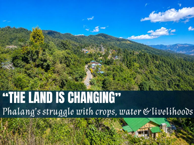 As Crops Fail and Forests Become a Lifeline, Phalang Faces an Uncertain Climate Future