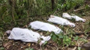 ANSAM Condemns October 9–10 Attacks, Demands Probe into Killing of Six Nagas